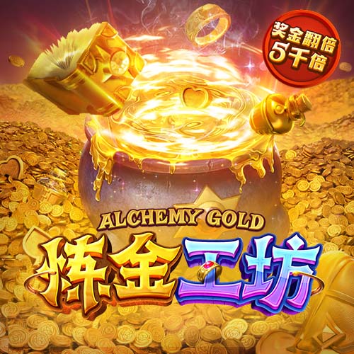 星空足球入口免费版